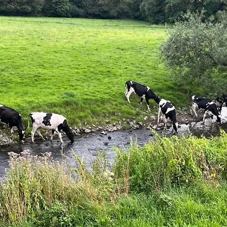 Friedchens An Der Moehne Bed & Breakfast Warstein